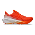 Asics Novablast 6 Tenka