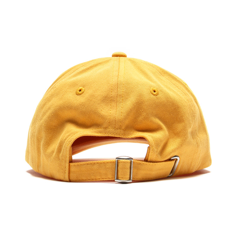 Stussy | Basic Stock Low Pro Cap