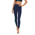 Beach Riot Pamila Legging
