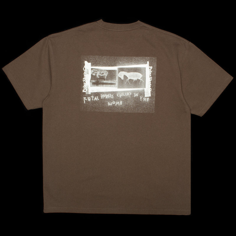Polar | Beautiful Horses T-Shirt Color : Chocolate
