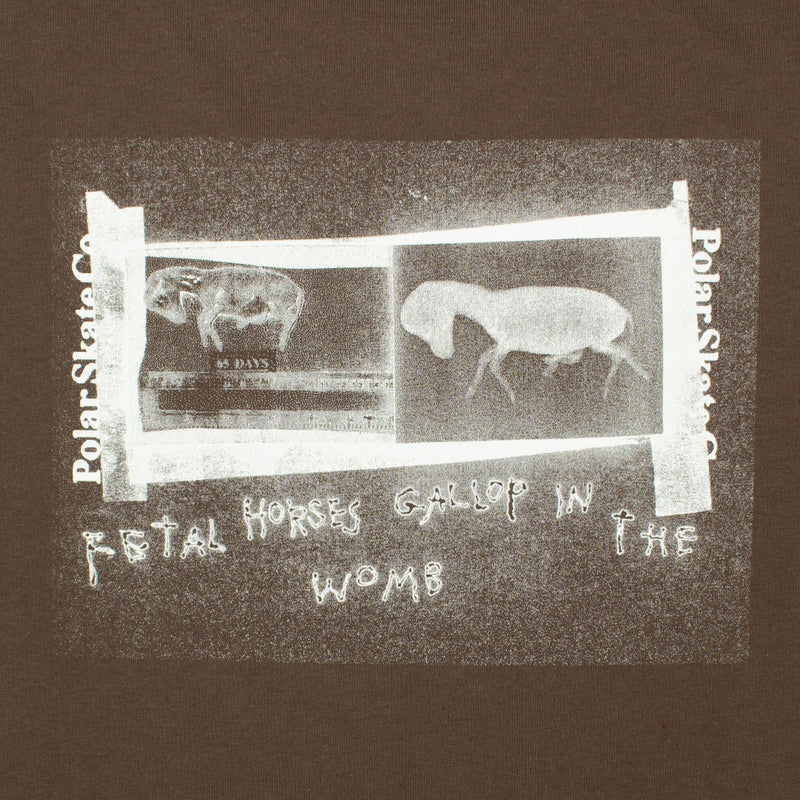 Polar | Beautiful Horses T-Shirt Color : Chocolate