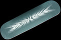 Premier | Blur Deck Sizes : 8.25", 8.375" & 8.5"