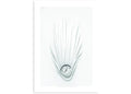 Daniel Arsham FALLING CLOCK 2018 Poster