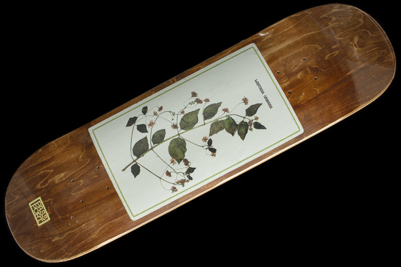 Passport | Invasive Species - Lantana Camara Deck