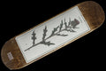 Passport | Invasive Species - Scotch Thistle Deck