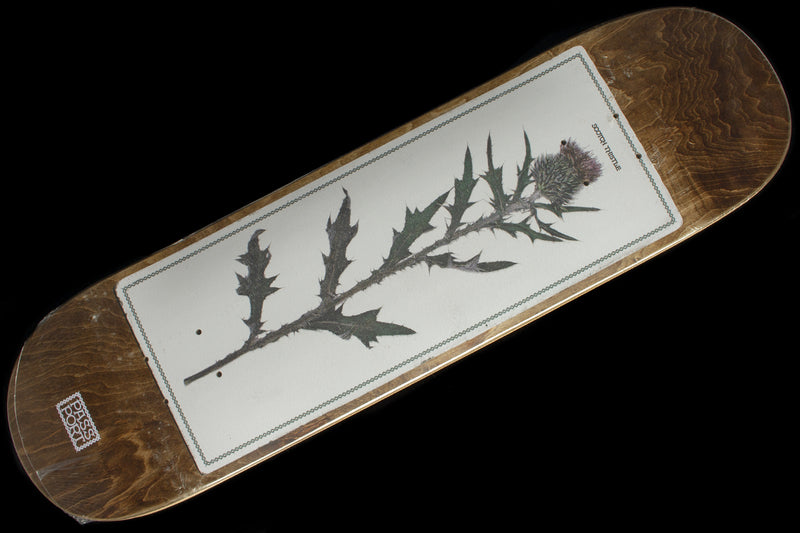Passport | Invasive Species - Scotch Thistle Deck