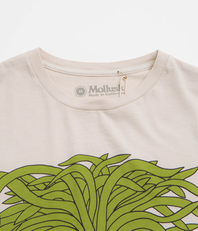 Mollusk Grow T-Shirt in Fog