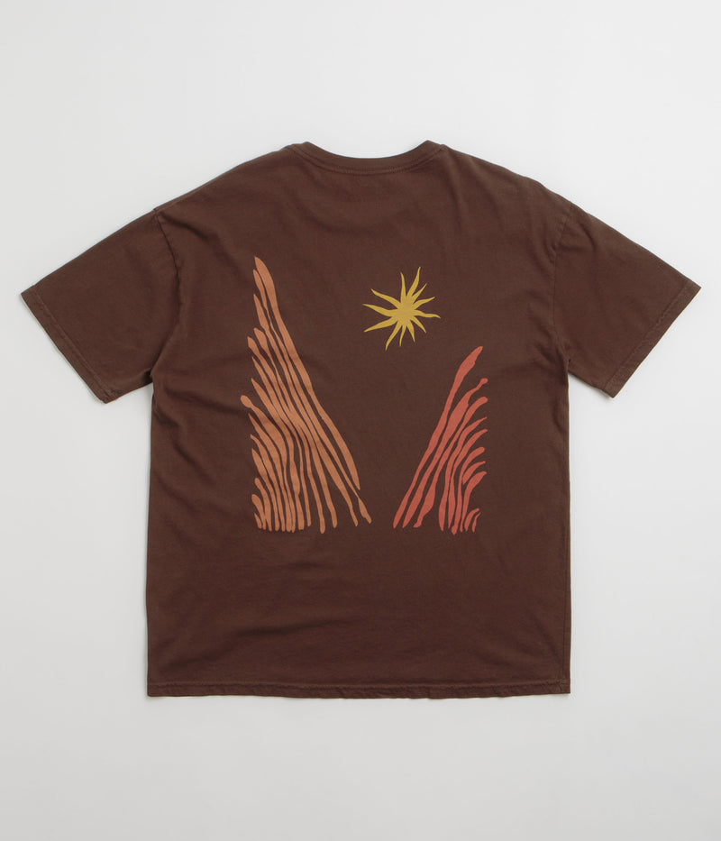 Mollusk Valley Heat T-Shirt in Brown