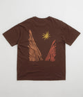 Mollusk Valley Heat T-Shirt in Brown