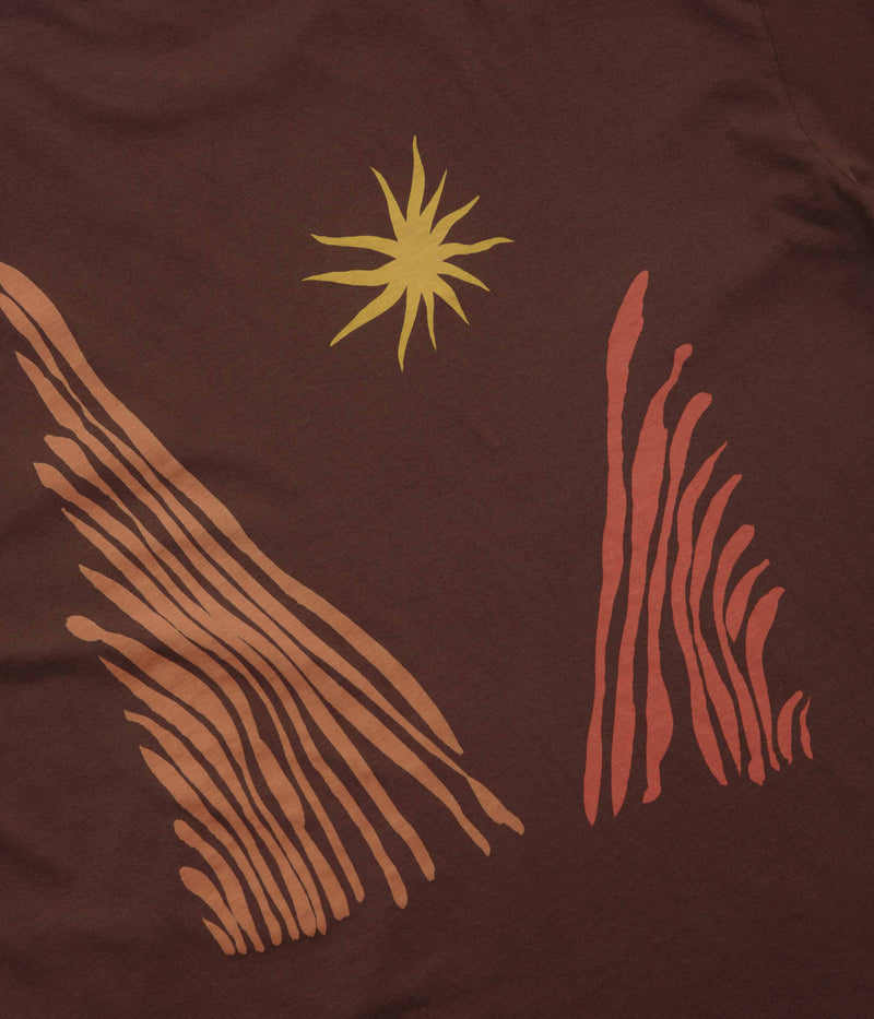 Mollusk Valley Heat T-Shirt in Brown
