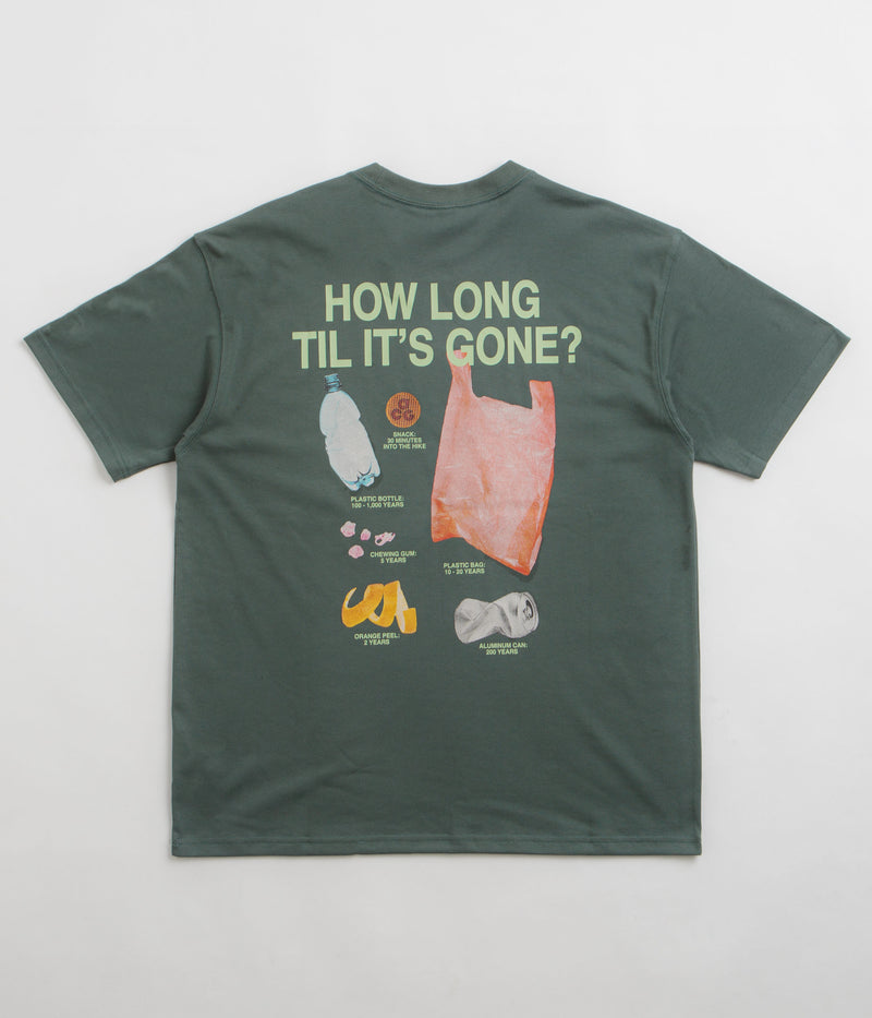 Nike ACG Pickinout T-Shirt in Vintage Green