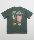 Nike ACG Pickinout T-Shirt in Vintage Green