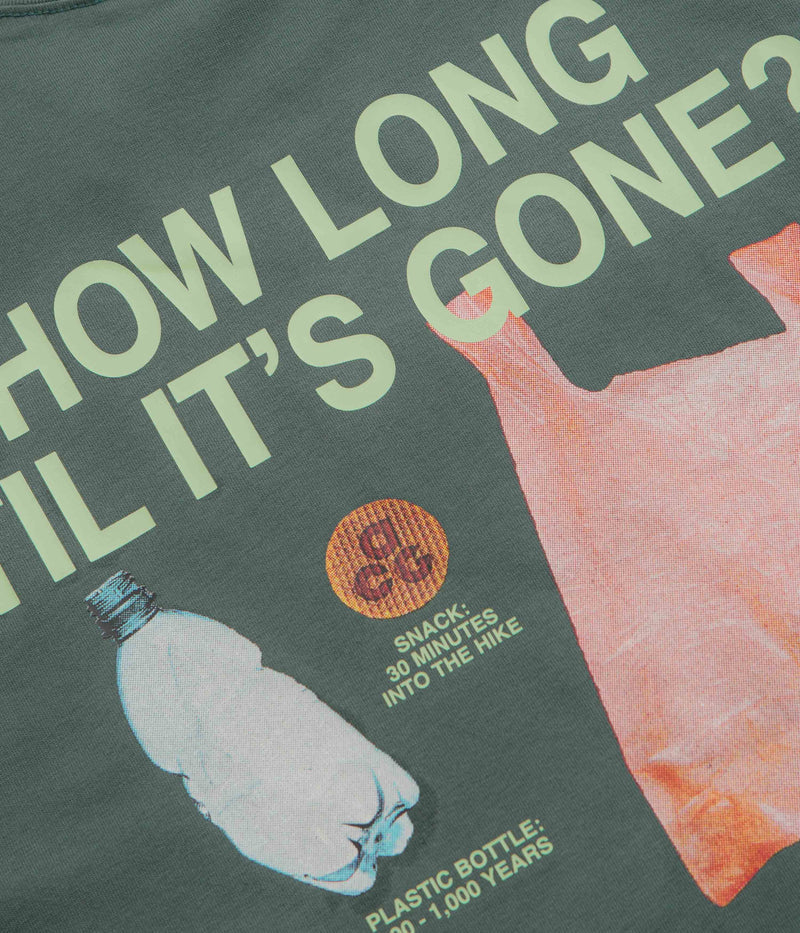 Nike ACG Pickinout T-Shirt in Vintage Green