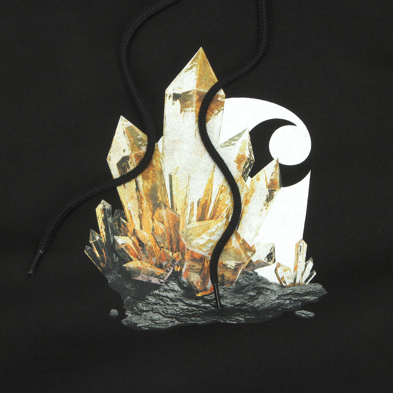 Carhartt WIP x Premier Hooded Sweatshirt