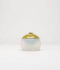 Snow Peak Hozuki Lantern in Moss