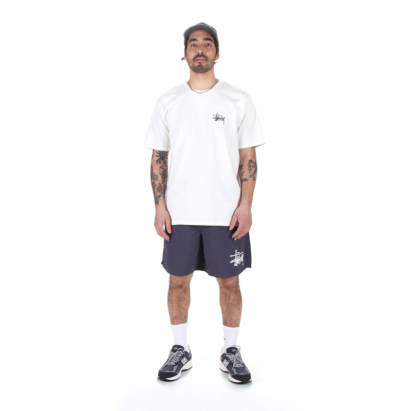 Stussy | Water Short Big Basic Graystone