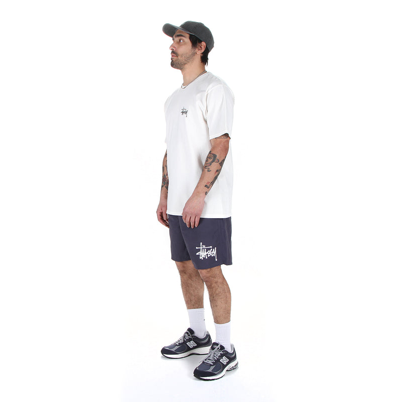 Stussy | Water Short Big Basic Graystone