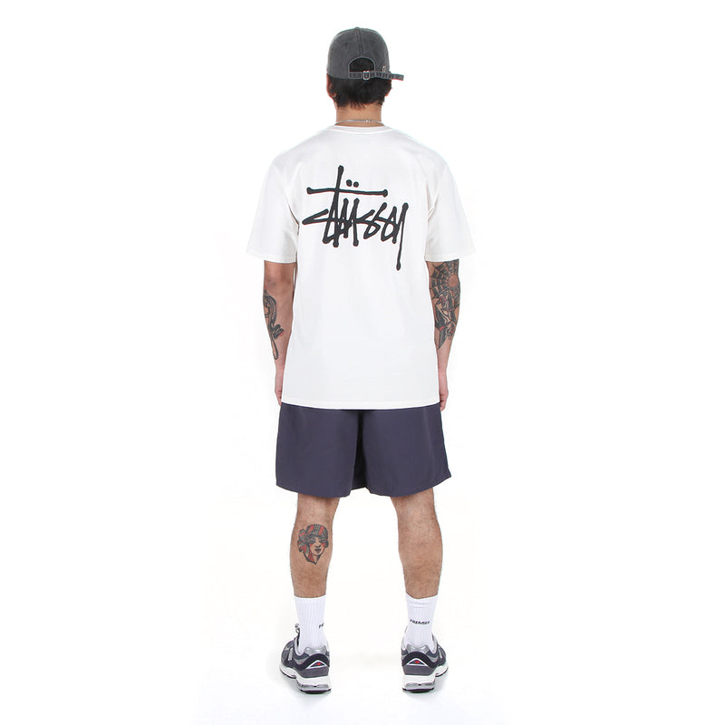 Stussy | Water Short Big Basic Graystone