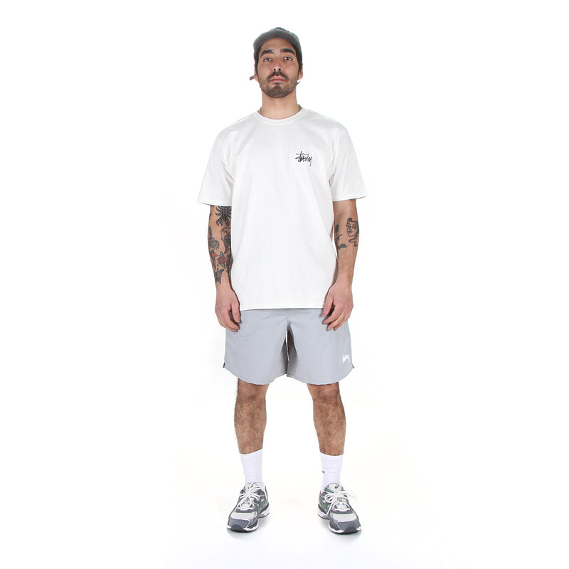 Stussy | Water Short Stock Concrete