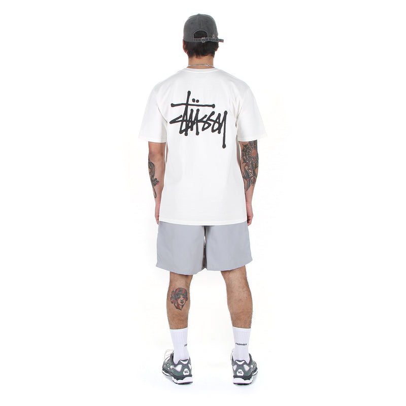 Stussy | Water Short Stock Concrete